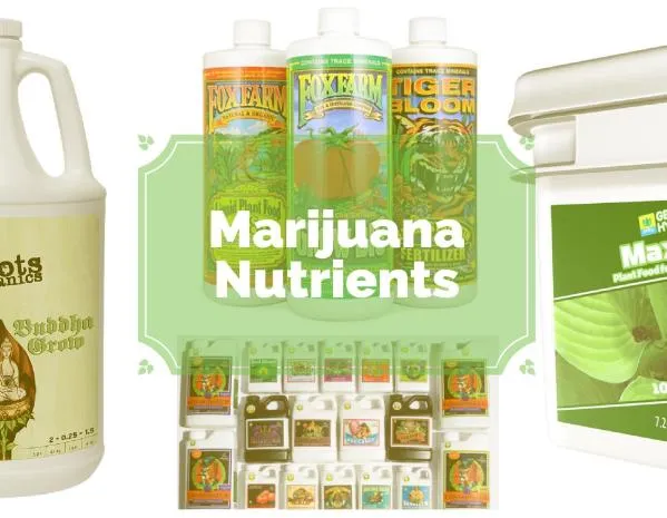 What are the best cannabis nutrient brands?