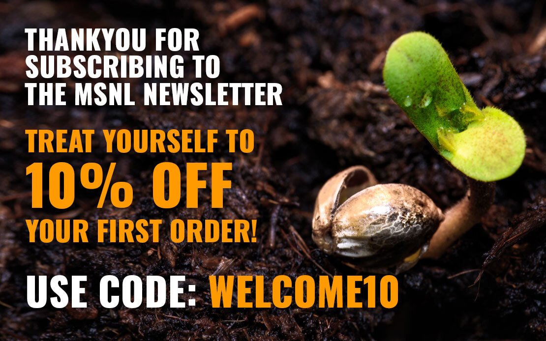 MSNL newsletter promotion