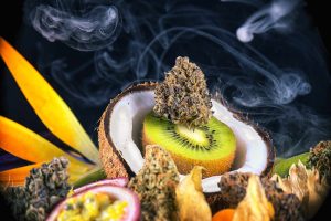 fruits-that-are-associated-with-terpenes-in-weed-next-to-a-cannabis-bud