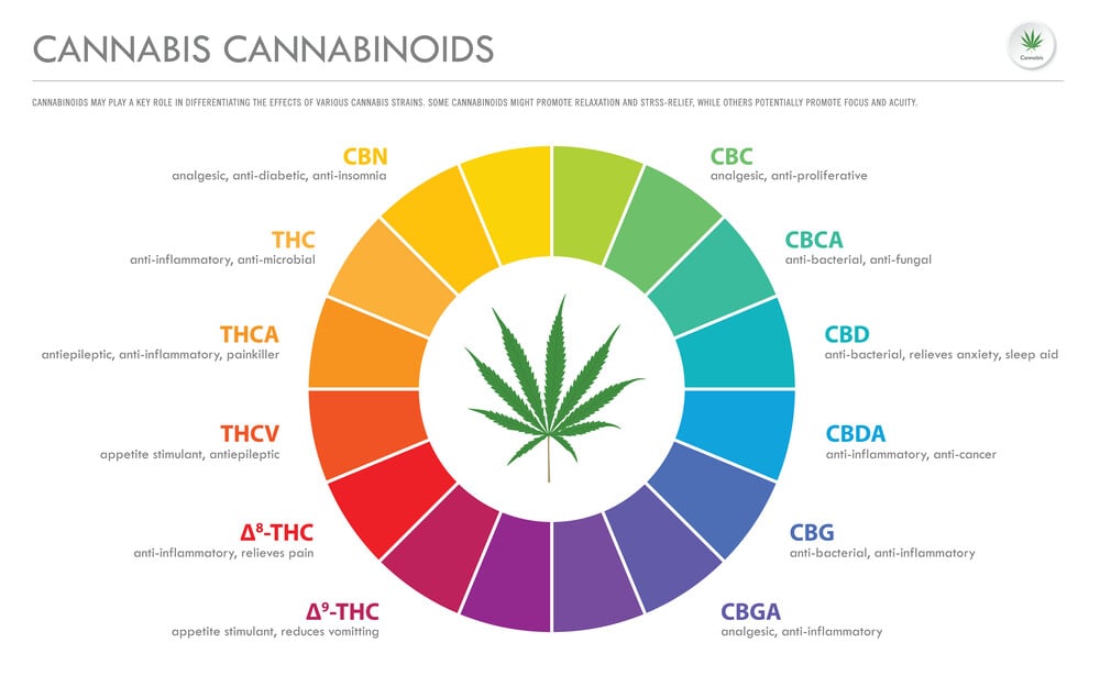 a graphic showing cannabis cannabinoids and the effects they have