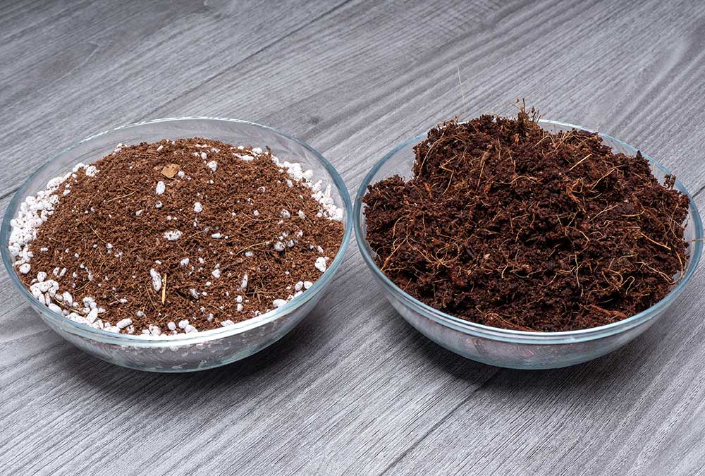 two different types of soil in a glass jar on a wooden floor