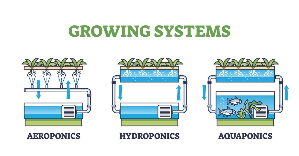 a vector image showing the difference between aeroponics, hydroponics and aquaponics growing systems