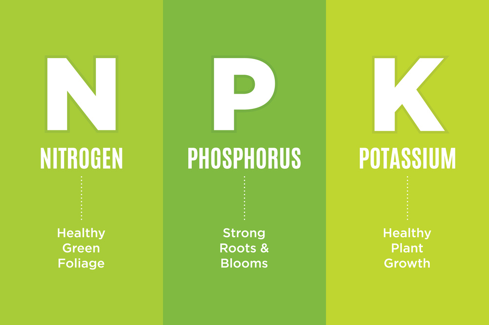 an image showing 3 sections of N P and K and the benefits each nutrient provides