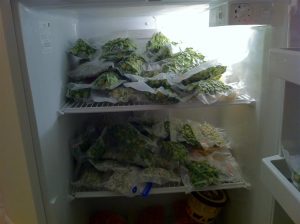 weed-stored-in-freezer