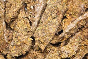 Weed that has expired with mold growing on it