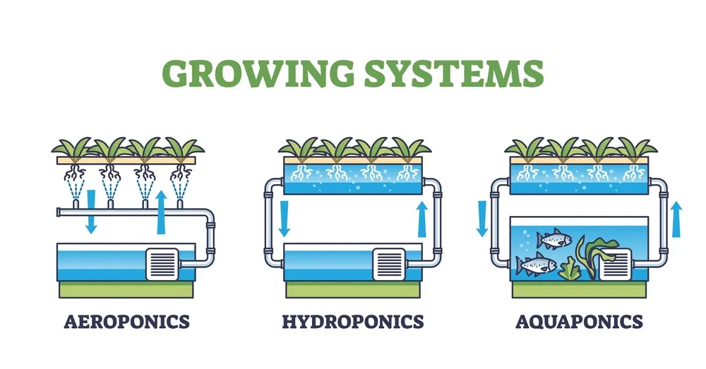 a vector image showing the difference between aeroponics, hydroponics and aquaponics growing systems