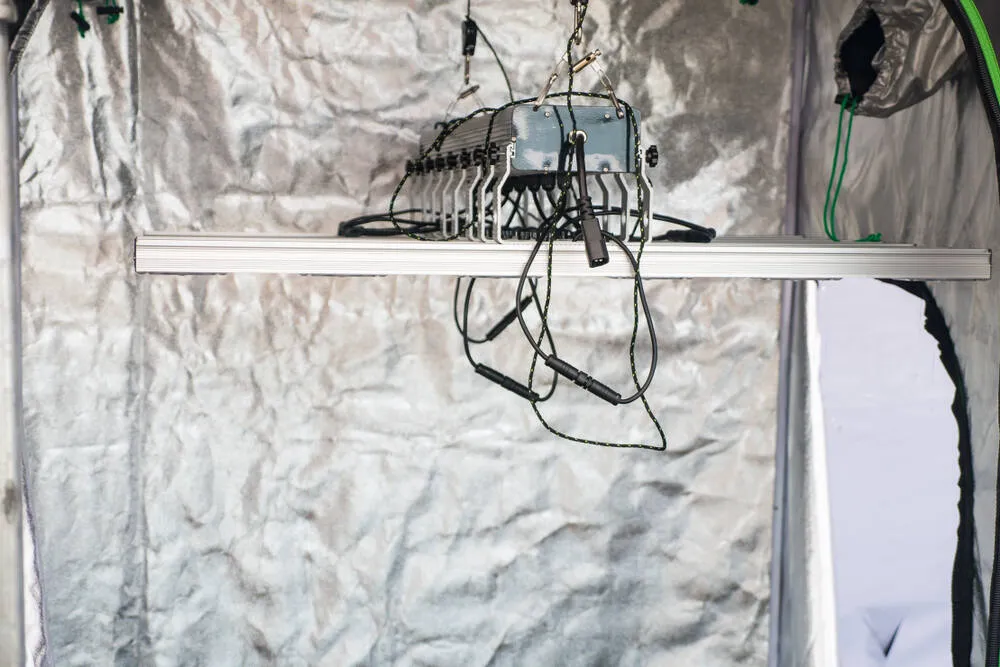 grow tent being prepared with lights being set up and wires hanging