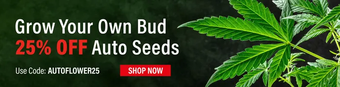 Autoflower Seeds Coupon Code