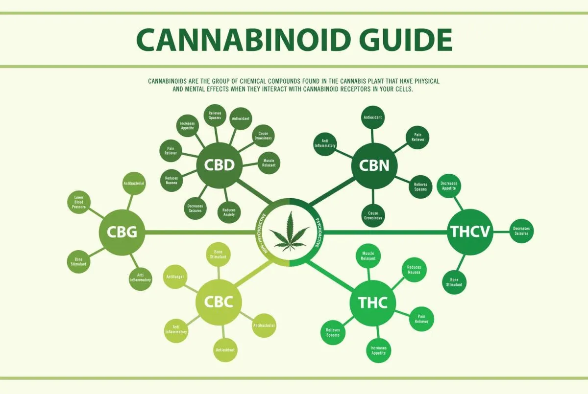 representation of effects in cannabis cannabinoids