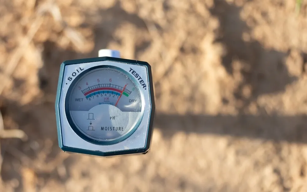 a pH tester in some soil