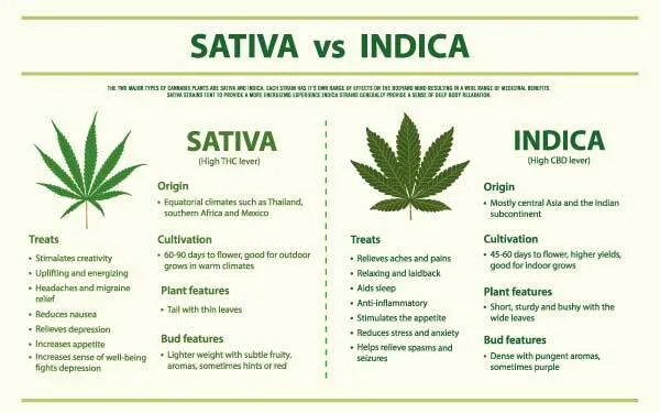 The difference between indica and sativa for growing conditions