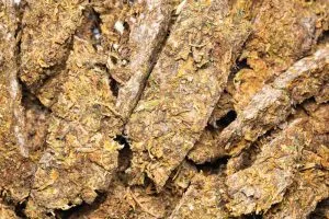 Weed that has expired with mold growing on it