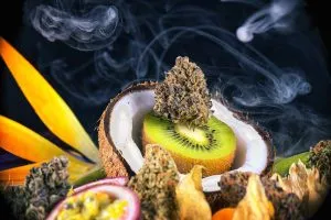 fruits-that-are-associated-with-terpenes-in-weed-next-to-a-cannabis-bud