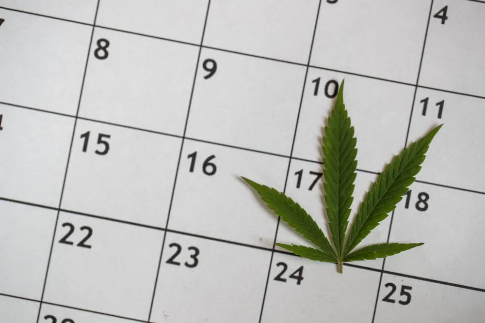 a cannabis leaf on a calendar